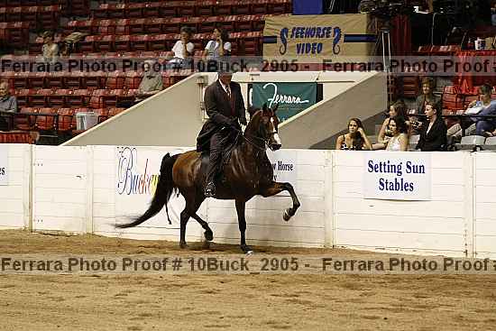 Proof 10buck_2905