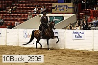10buck_2905 proof