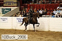 10buck_2906 proof