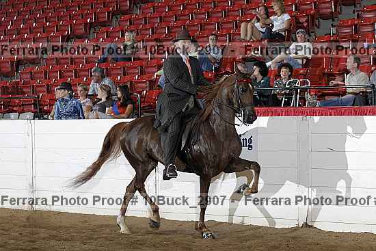 Proof 10buck_2907