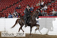 10buck_2907 proof
