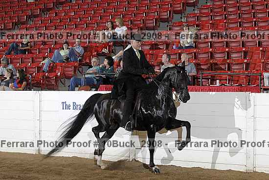 Proof 10buck_2908