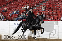 10buck_2908 proof