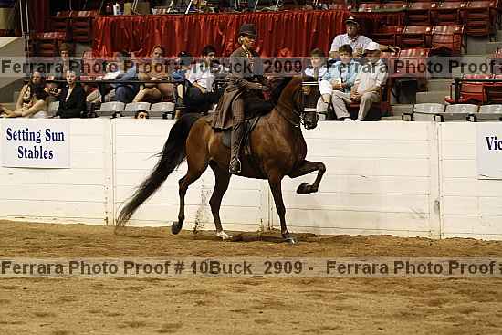 Proof 10buck_2909