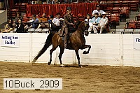 10buck_2909 proof