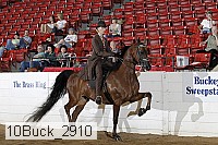 10buck_2910 proof