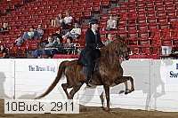 10buck_2911 proof