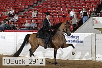 10buck_2912 proof