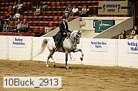 10buck_2913 proof
