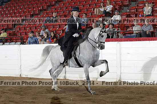 Proof 10buck_2914