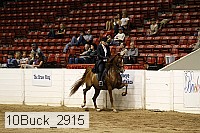 10buck_2915 proof