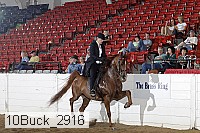 10buck_2916 proof