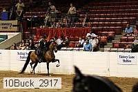 10buck_2917 proof