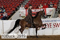 10buck_2919 proof