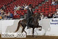 10buck_2920 proof
