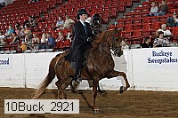 10buck_2921 proof