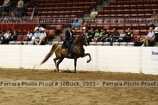 Proof 10buck_2923