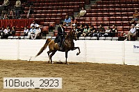 10buck_2923 proof