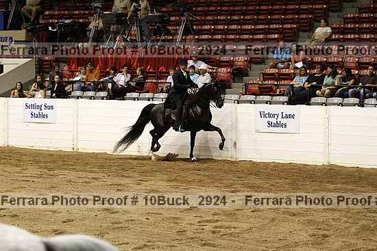 Proof 10buck_2924