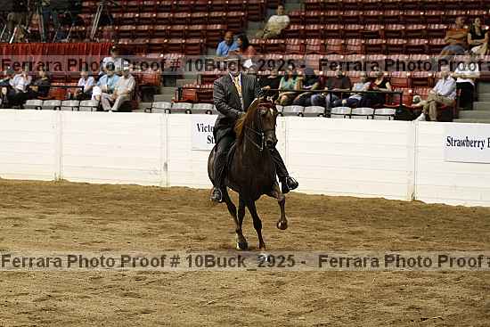 Proof 10buck_2925