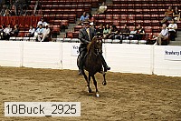 10buck_2925 proof