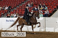 10buck_2926 proof