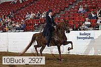 10buck_2927 proof