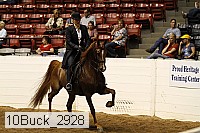10buck_2928 proof