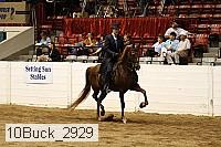 10buck_2929 proof