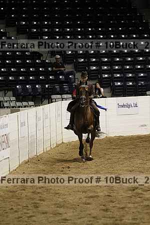 Proof 10buck_2931