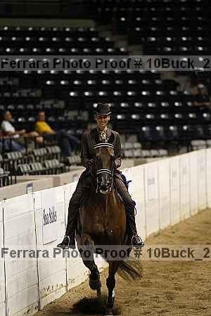 Proof 10buck_2933