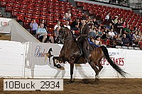 10buck_2934 proof
