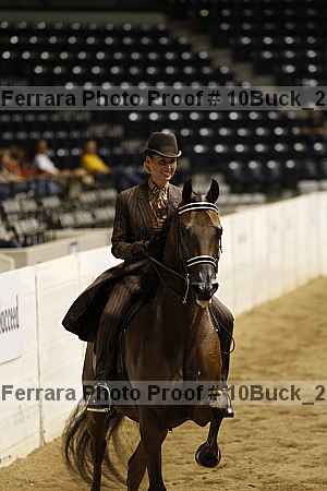 Proof 10buck_2935