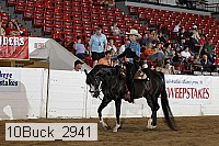 10buck_2941 proof