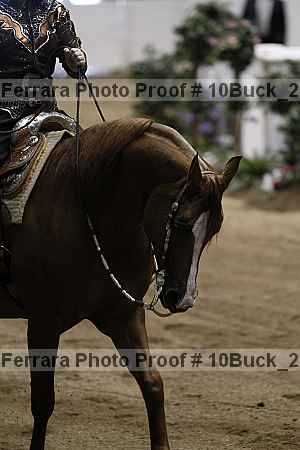 Proof 10buck_2972