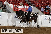 10buck_2973 proof