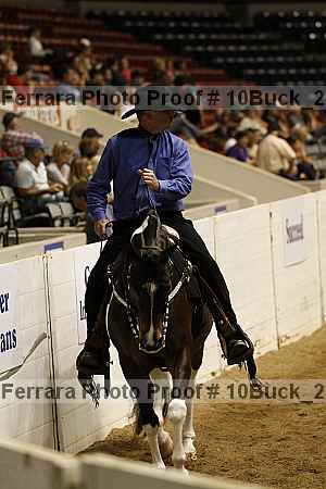 Proof 10buck_2975