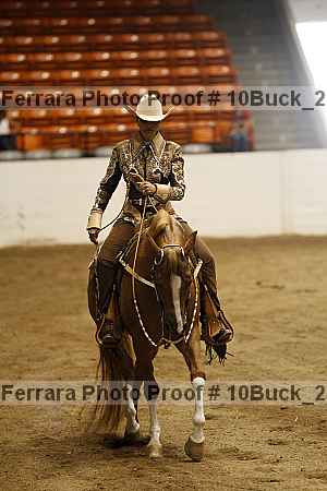 Proof 10buck_2980