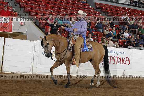 Proof 10buck_2988