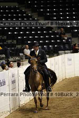 Proof 10buck_2995