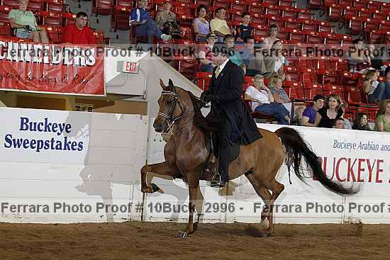 Proof 10buck_2996