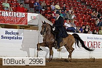 10buck_2996 proof