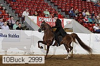 10buck_2999 proof