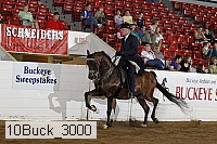 10buck_3000 proof