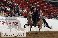 10buck_3001 proof