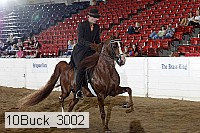 10buck_3002 proof