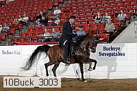 10buck_3003 proof