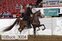 10buck_3004 proof