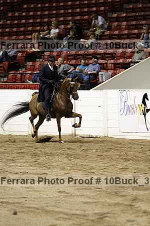 Proof 10buck_3005