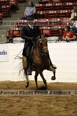 Proof 10buck_3006